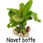 navet botte