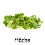 salade-mache-bio