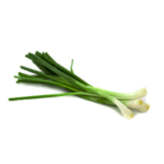 Oignon ciboule